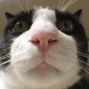 Meet your Posher, Omari